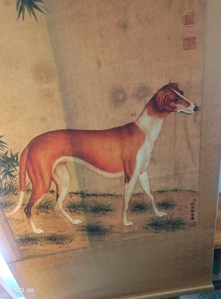 Lang Shining’s dog-國際博寶藝術品交易網